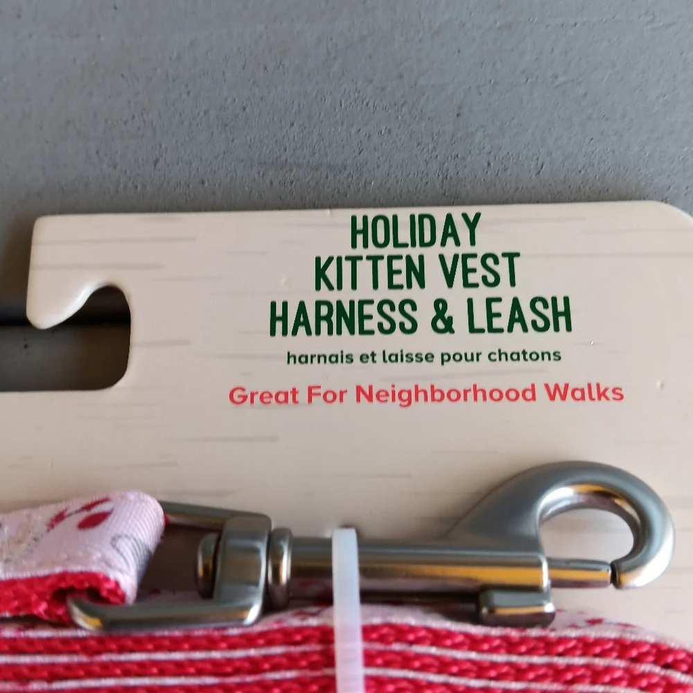Holiday kitten vest harness and leash